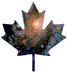 DAA logo