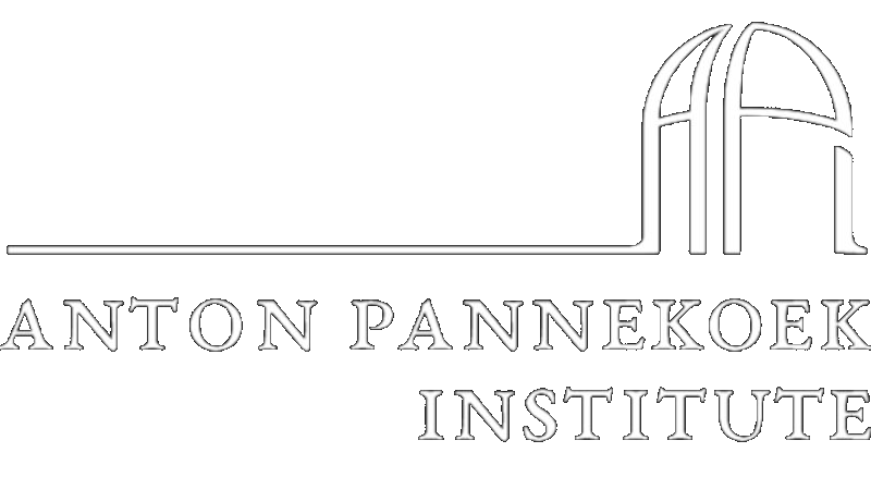 API logo